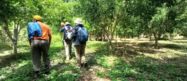El oro invisible bajo el suelo boliviano
